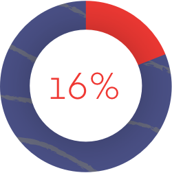 16% pie chart